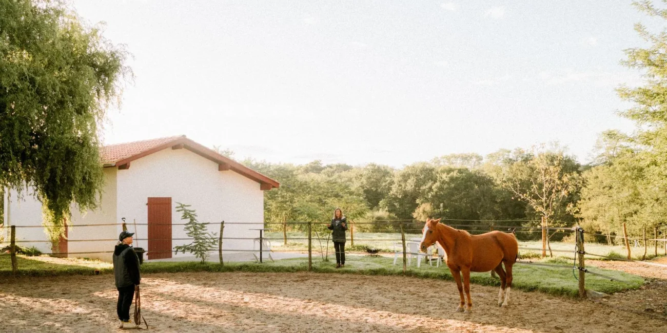equicoaching photo professionnelle