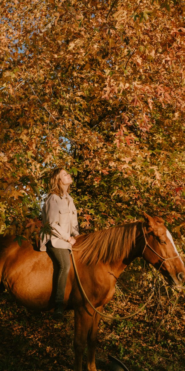 Séance reportage photos à cheval dans les Landes à Saint Jean de Marsacq