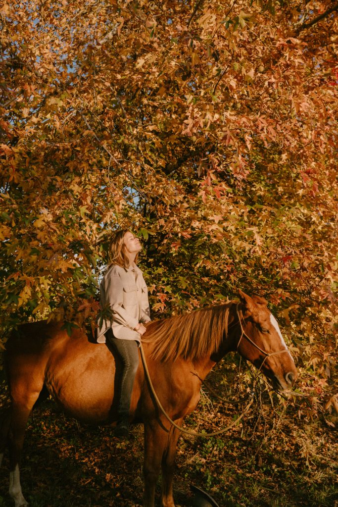 Séance reportage photos à cheval dans les Landes à Saint Jean de Marsacq