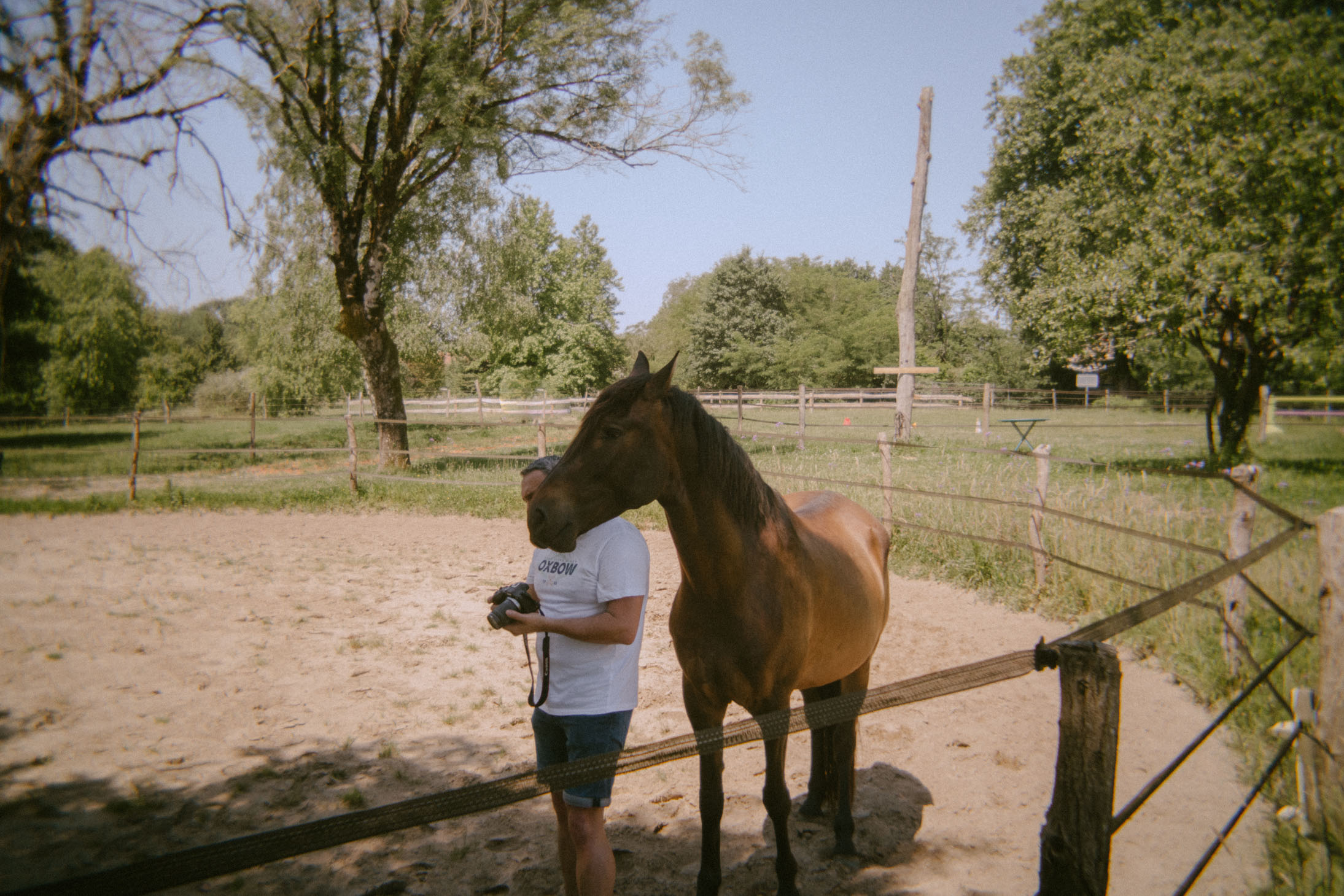 Avec le cheval de Noé dans les Landes pendant un atelier photo