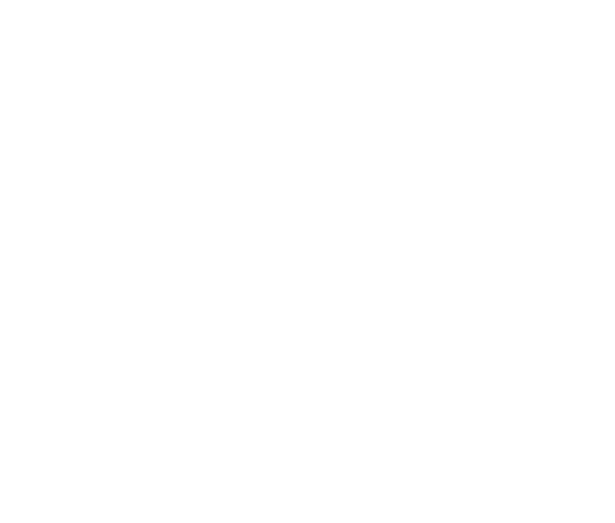 Noemie Le Calvez Logo